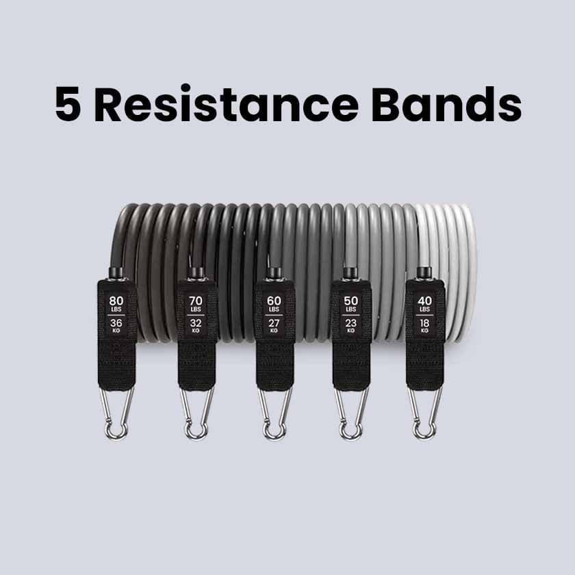 Panthera Bands