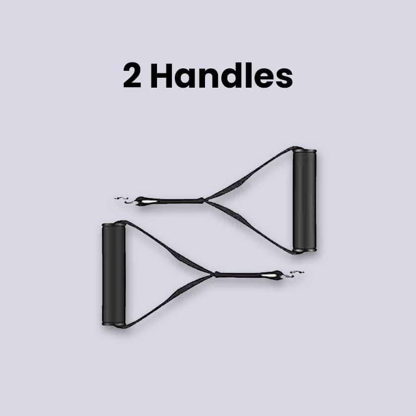 Panthera Bands